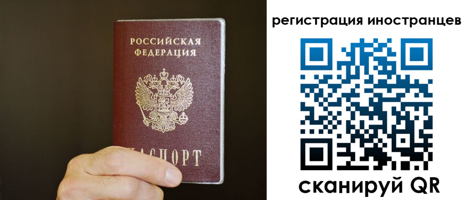 прописка в Котельниково